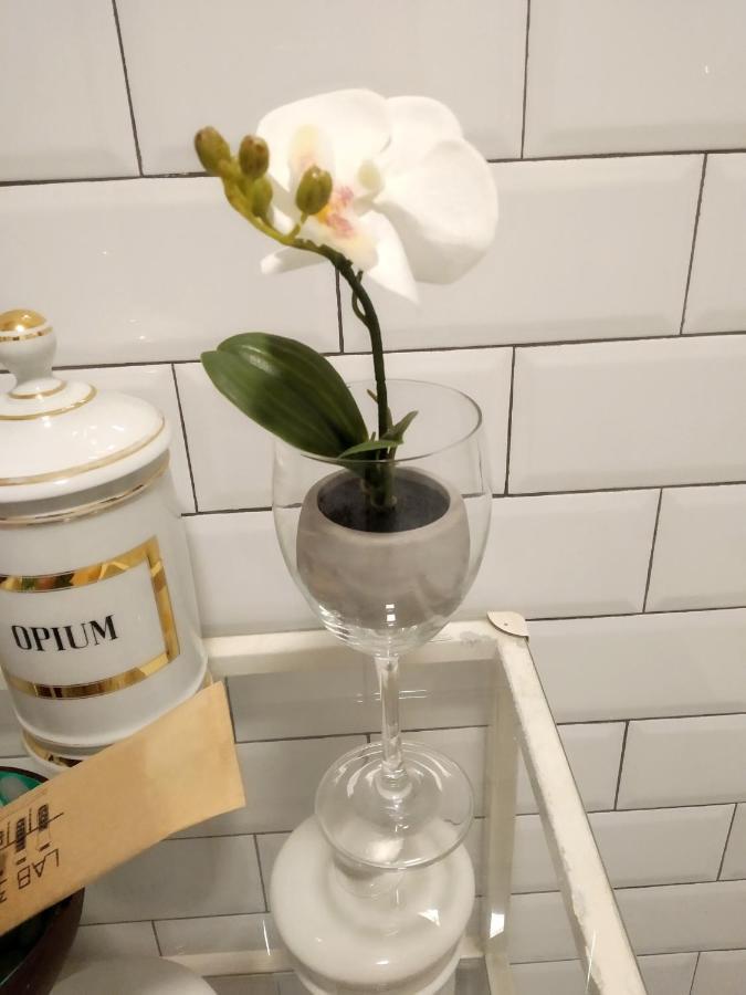 Lab 36 Apartaments Málaga Dış mekan fotoğraf